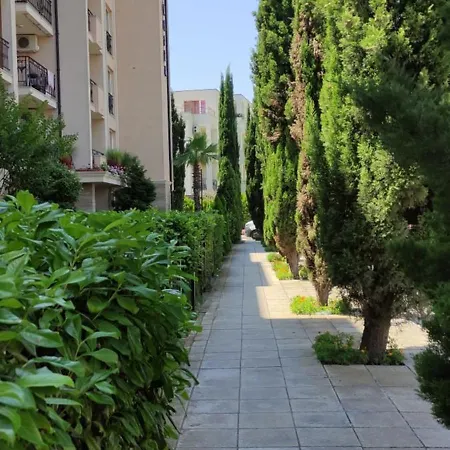Sun & Sea ساني بيتش